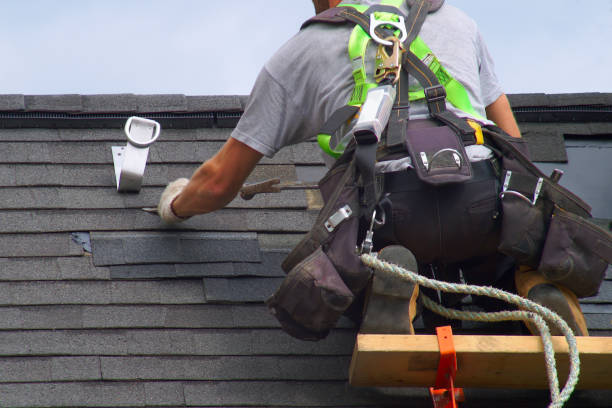 Best Residential Roofing Contractor  in Williamson, WV