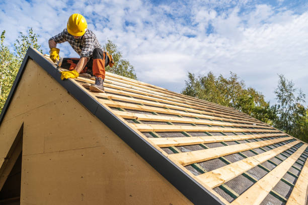 Best Roof Repair Services  in Williamson, WV